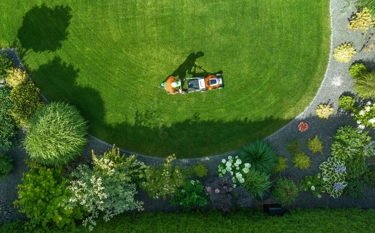 Gepflegter Rasen umgeben von bunten Pflanzen in einem Wohn-Garten